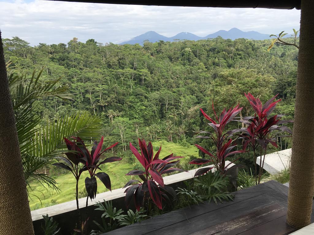 Ayuterra Resort Ubud  Exterior photo